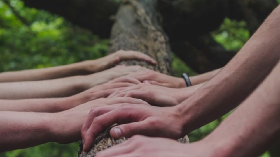 Offering Image