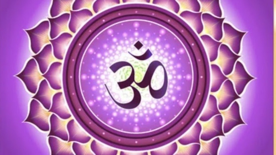 Annual Member (Annual $240 comes to $20/mo)