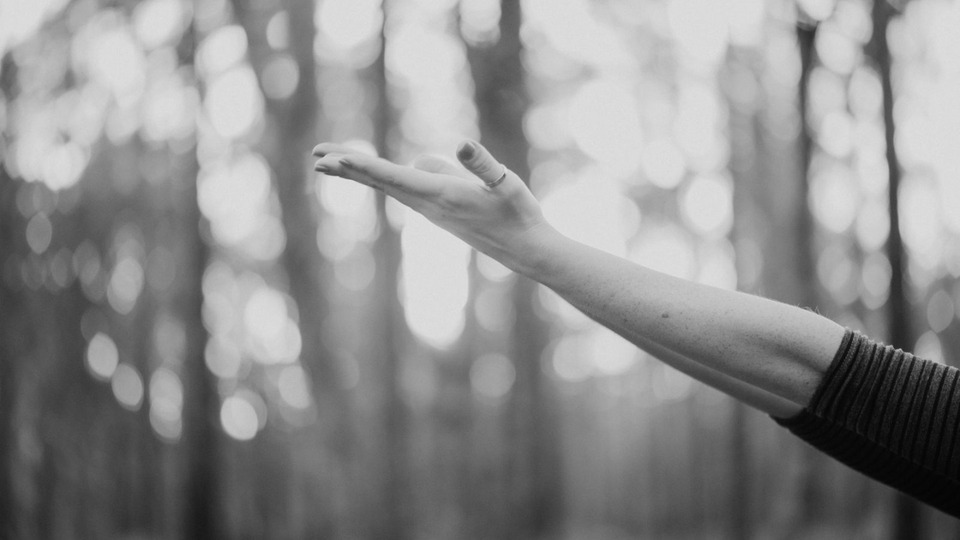 Grit & Grace–Bone Health in (Peri)menopause