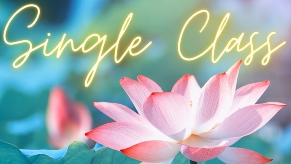 In Studio or Off Site Single Class (Can Be Purchased as a Gift)