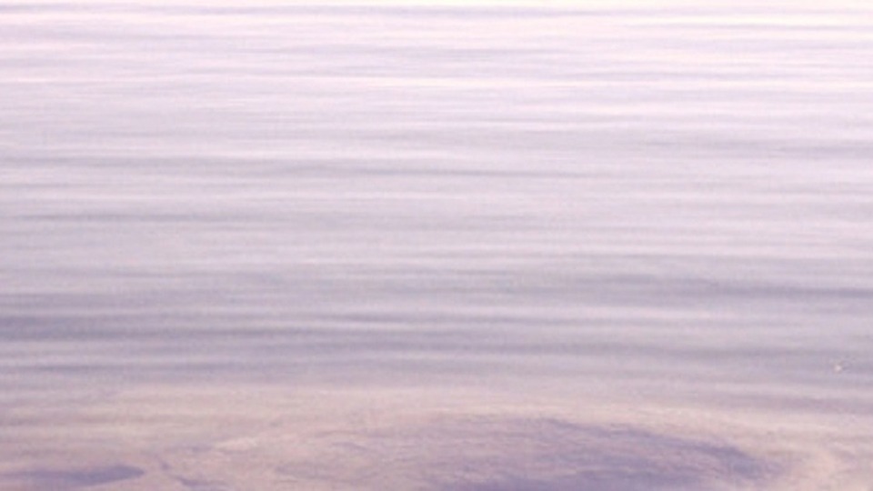 Single Online Yoga Class