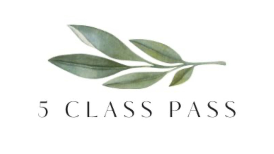 5 Class Pass