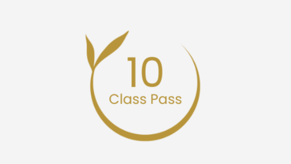 10 Class Pass