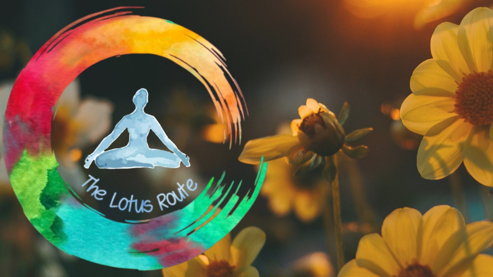 Introductory Offer: 12 Private Lessons for the price of 8!