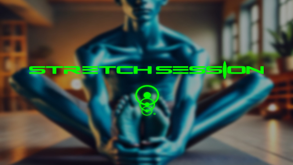 60 MIN PROFESSIONAL STRETCH SESSION