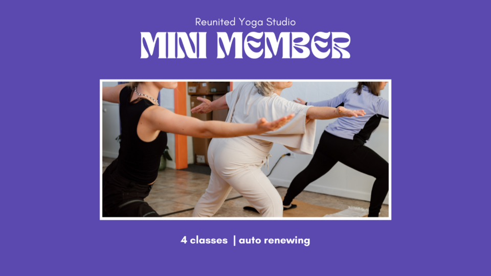 Mini Member