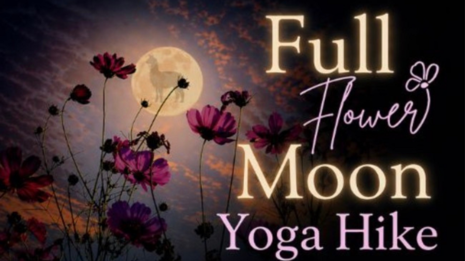 Full Flower Moon Yoga Hike at Black Barn Alpacas