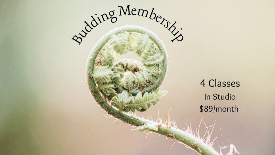 6 Month Budding Membership
