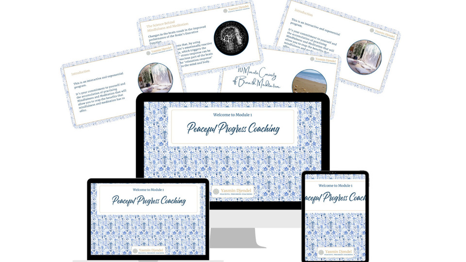 Proven 8 Step Process - Self-Paced Coaching Program