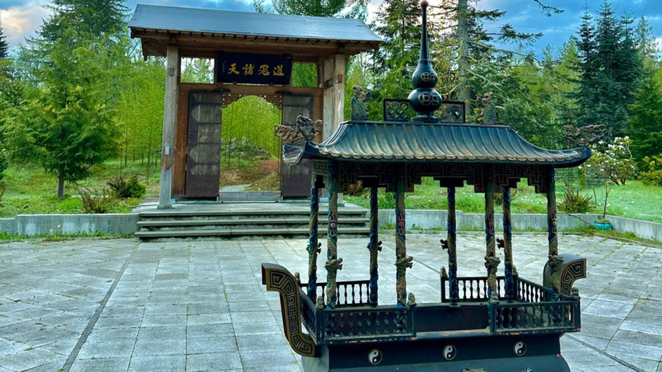 Gold Lite Member (12 classes / month)