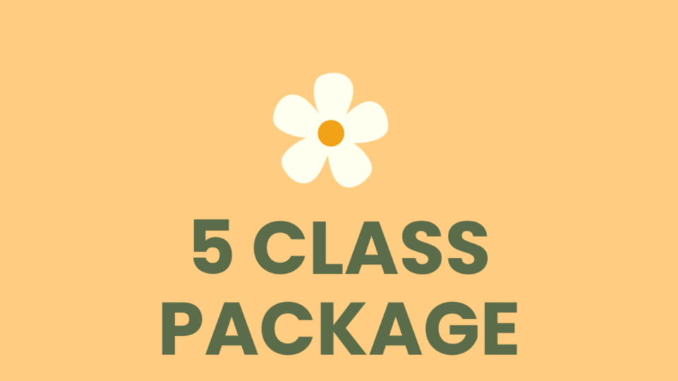 5 Class Package