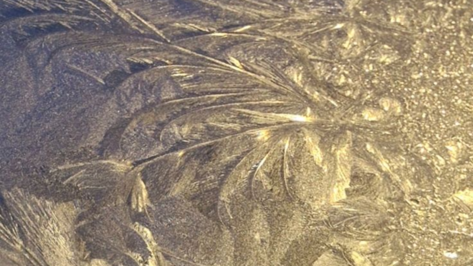 The Full Year Pass Membership