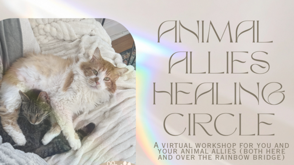 ANIMAL ALLIES HEALING CIRCLE