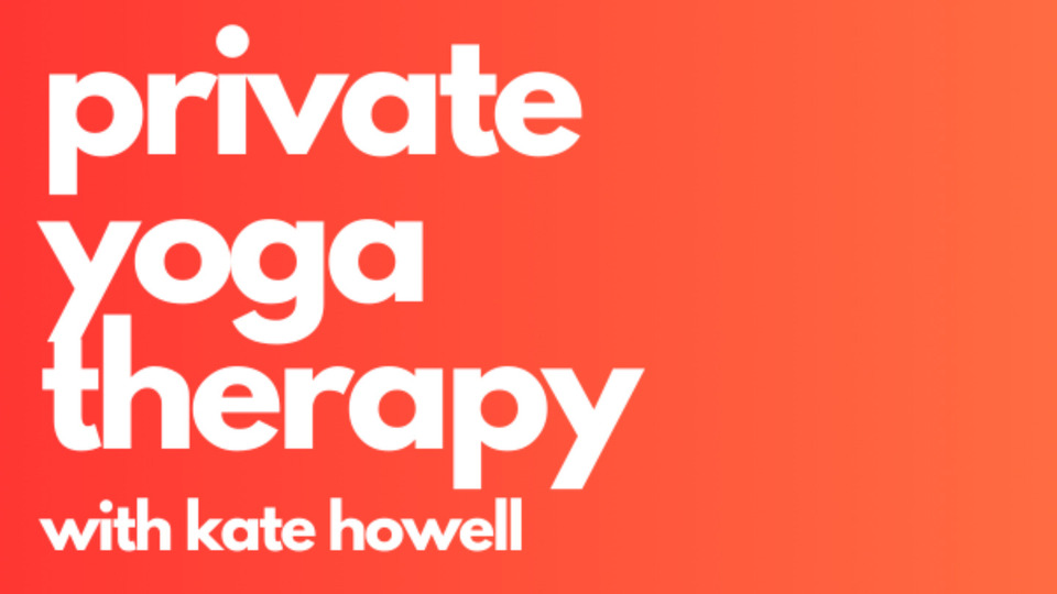 12 SESSIONS 1:1 Virtual Yoga Therapy (Remote)