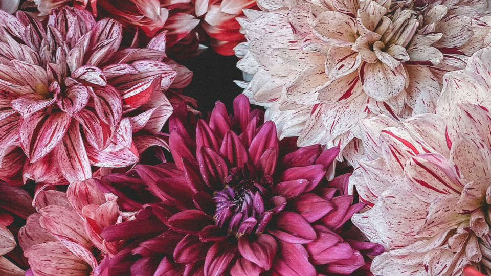 Offering Image