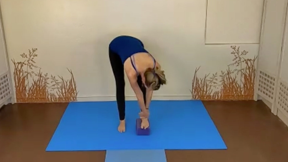 Sciatica Gentle Basics