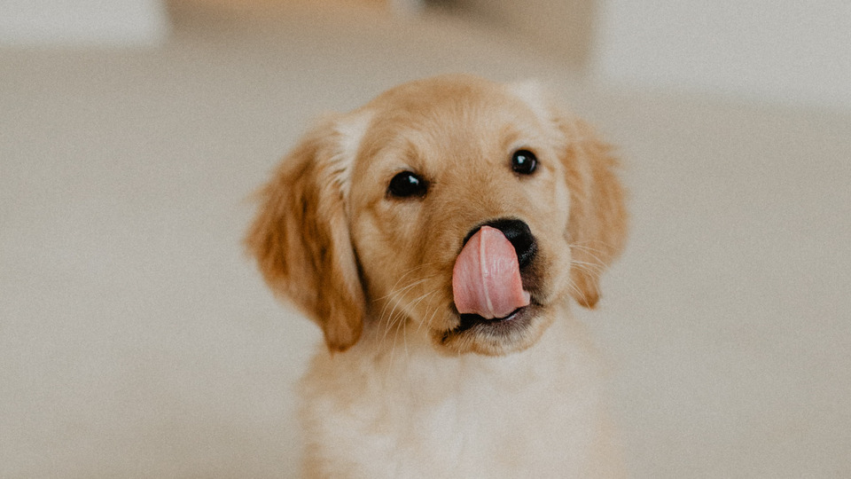 One Hour Private Lesson