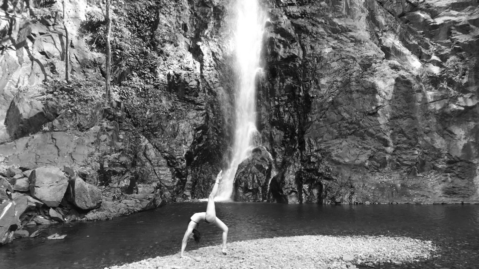 10 Live Online Classes Pass