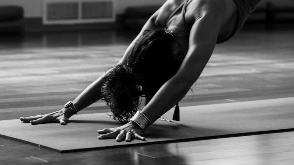 Vinyasa 