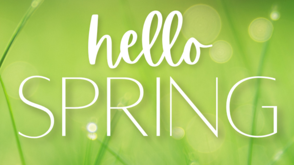 Spring in the Garden Drop in session May 8th