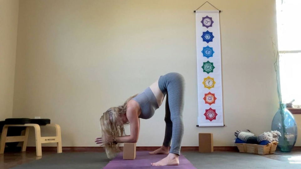 Basic Yoga
