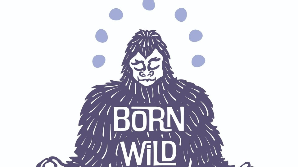 Littlefoot - Monthly Access to Replay Library