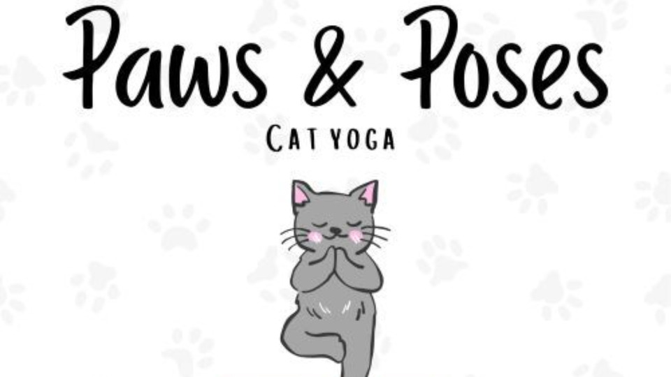 Paws and Poses - Cat Yoga @ Purrfectly Brewed Cat Cafe