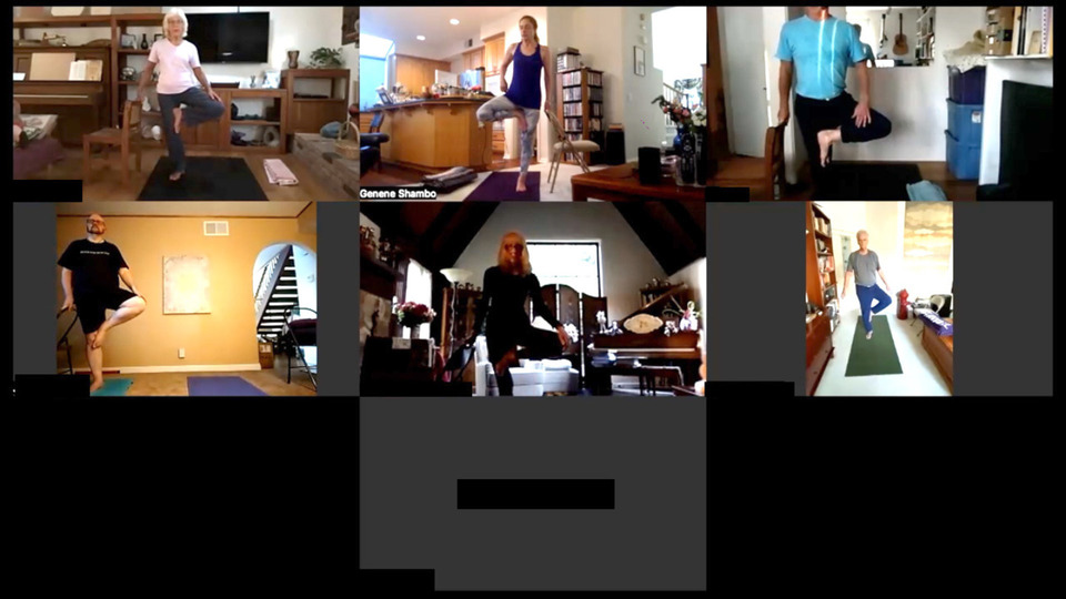 Monday Evening Live Online Interactive Therapeutics Class