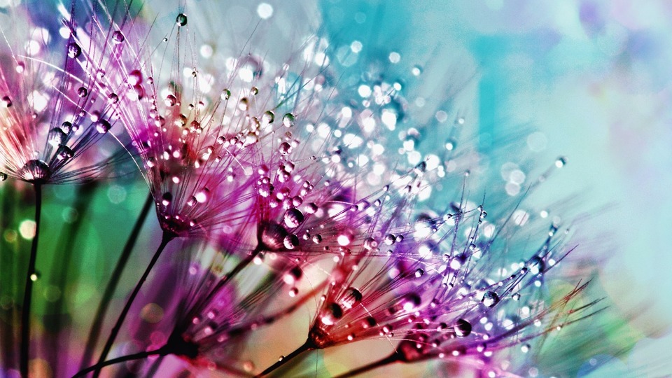 Private Yoga Session - 30 Minutes 