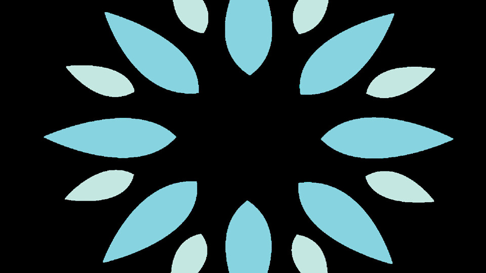 4x (60min) FST / Private Coaching Sessions 