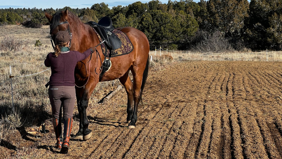 Horse and Wellness Membership 