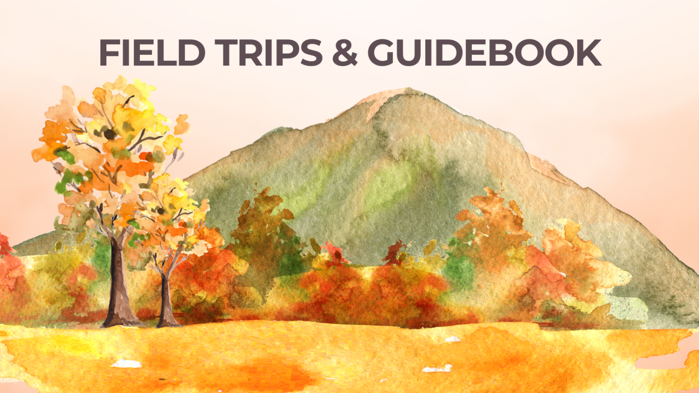 Field Trips and Workbook Only