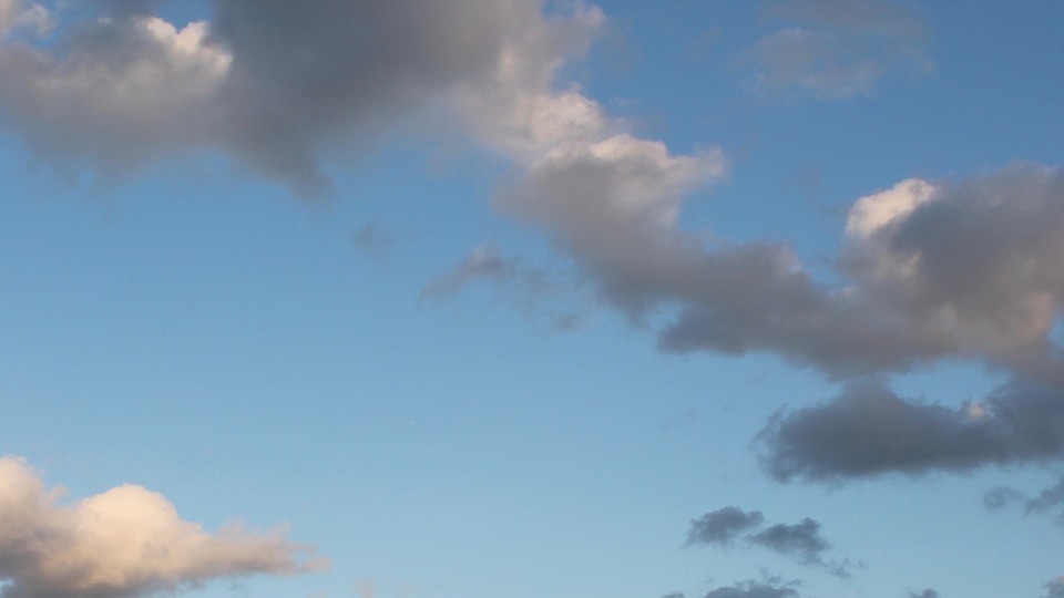 Unlimited Library Access