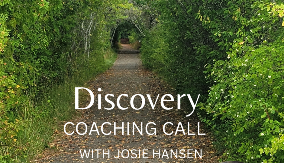 Let's Chat -Discovery Call