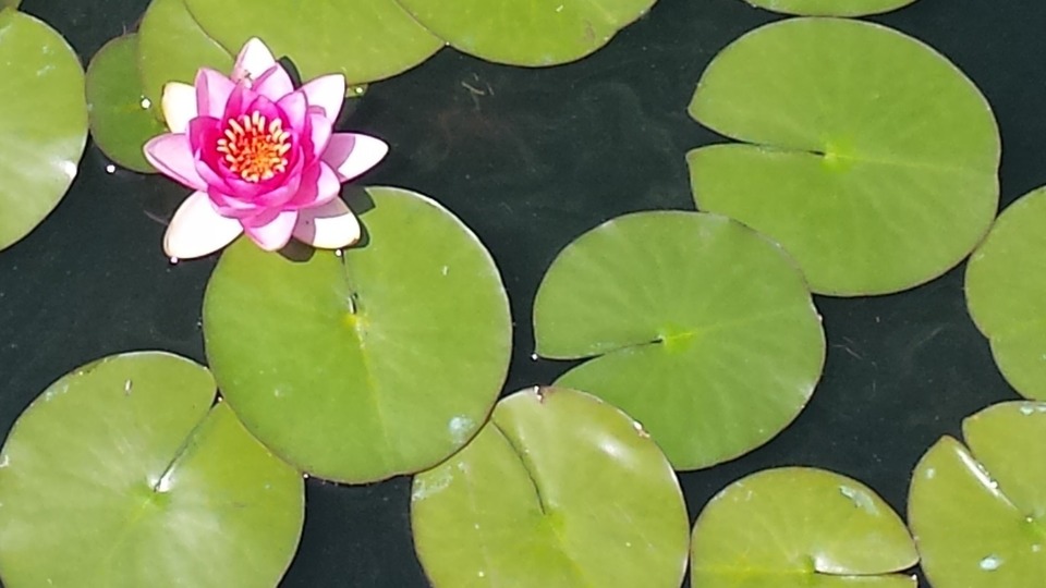 Intro Package 3 classes for $30