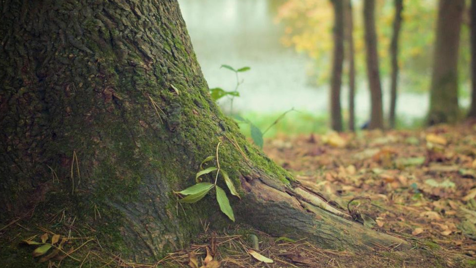 Monthly Auto-charge, Unlimited Virtual & In-Person Classes