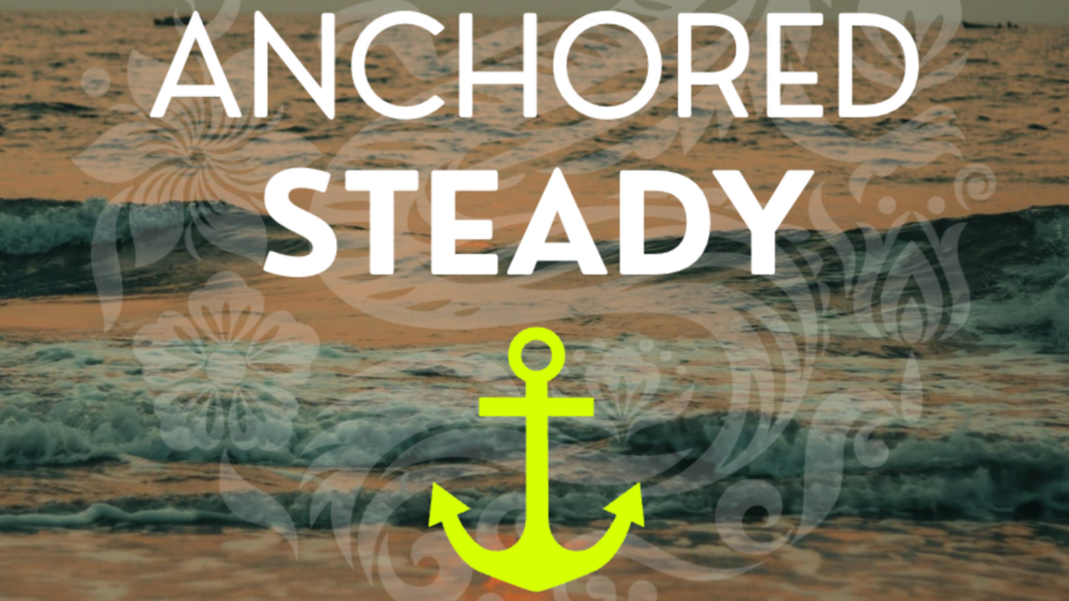New Student - Anchored STEADY