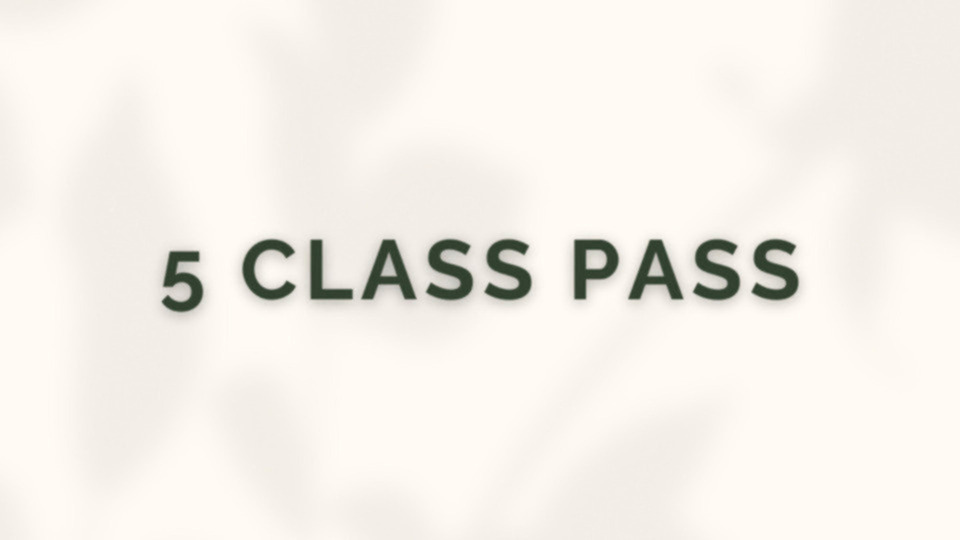 5 Class Pass