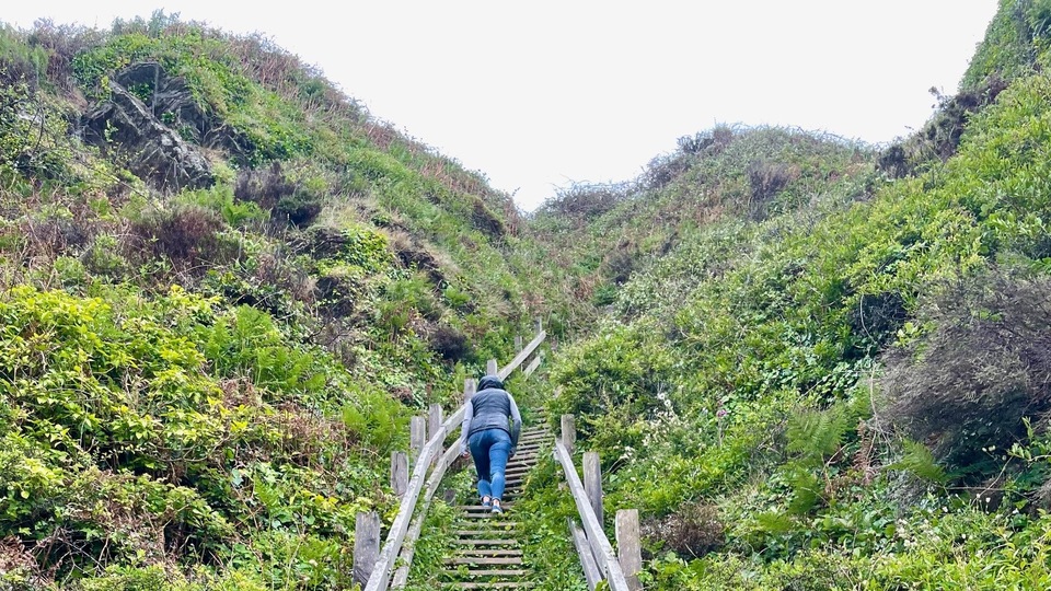 Base Camp: Foundations for Growth