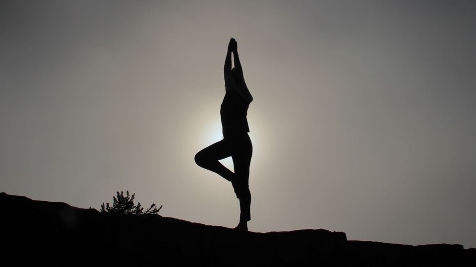 20 Online classes=20 Credits