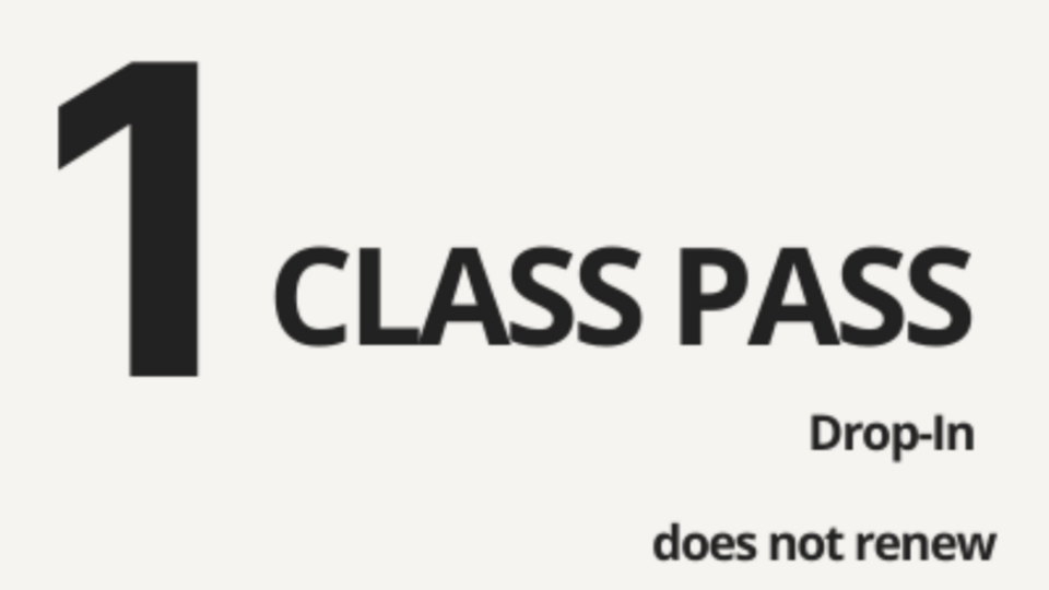 Child Pass (under 16yrs)