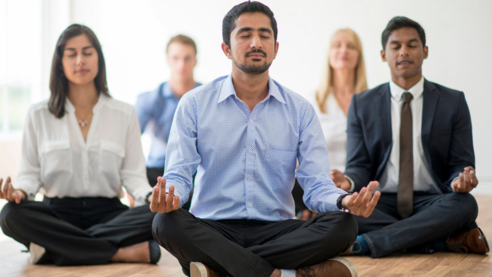 Executive Nervous System Performance Program
