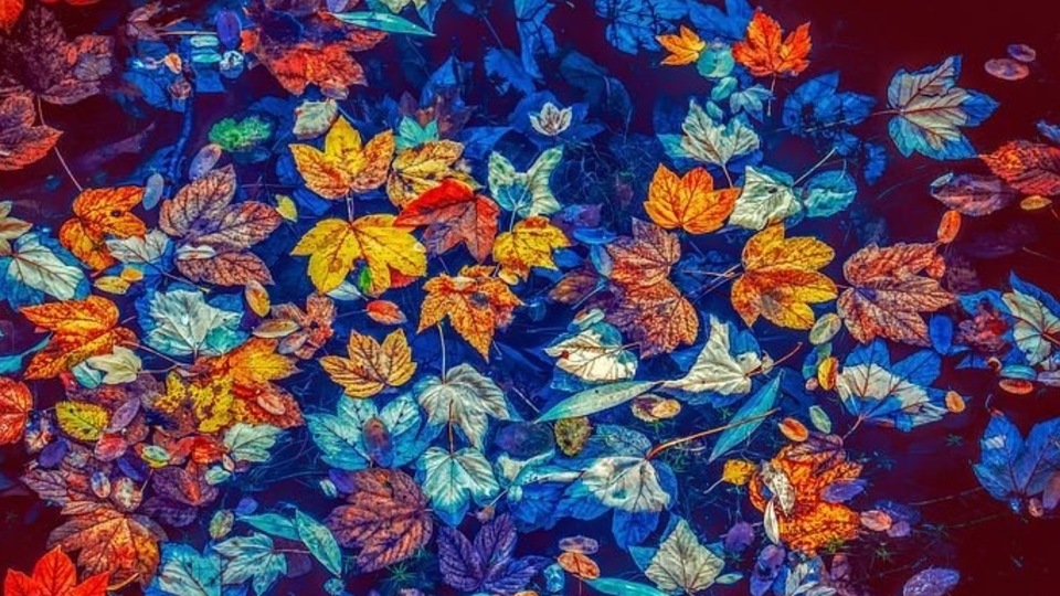 Yoga Rx 5 class pass