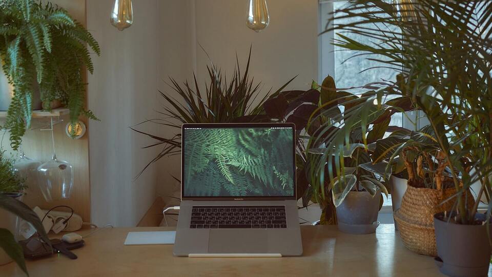 Virtual Yoga Therapy