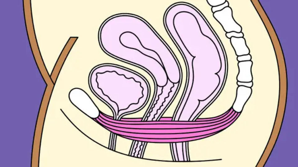 AYPF - Participant only.