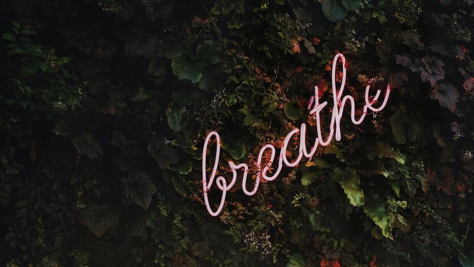 🧘🏻‍♀️ Meditation Monday