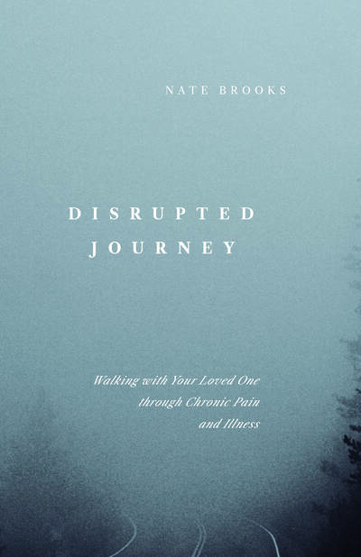 Disrupted Journey