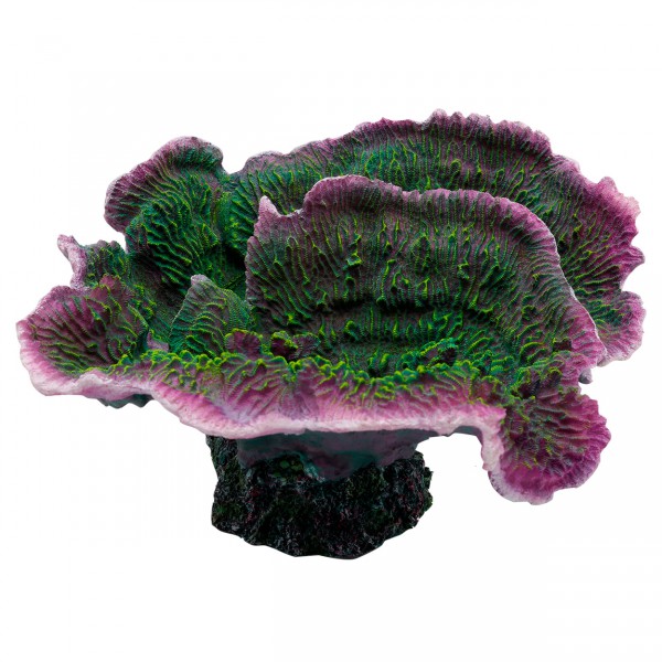 Underwater Treasures Montipora Coral - Purple Rim - Decorations ...