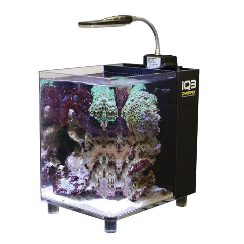 dymax iq3 mini acrylic aquarium