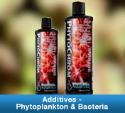 Additives - Phytoplankton & Bacteria